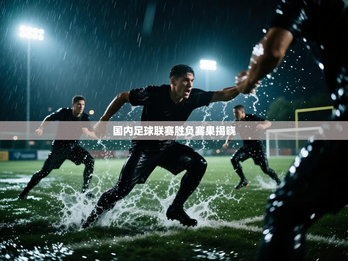 国内足球联赛胜负赛果揭晓  第2张