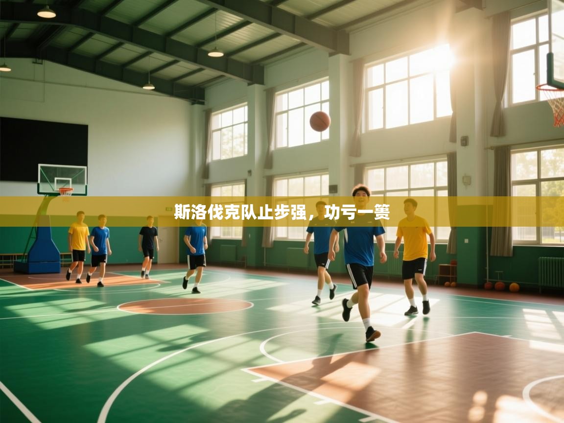 斯洛伐克队止步强，功亏一篑  第2张