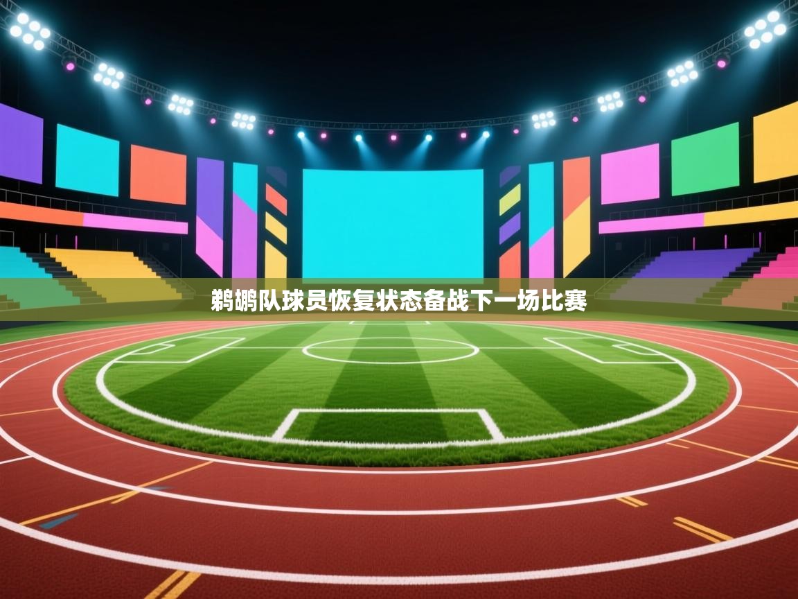 鹈鹕队球员恢复状态备战下一场比赛 第1张